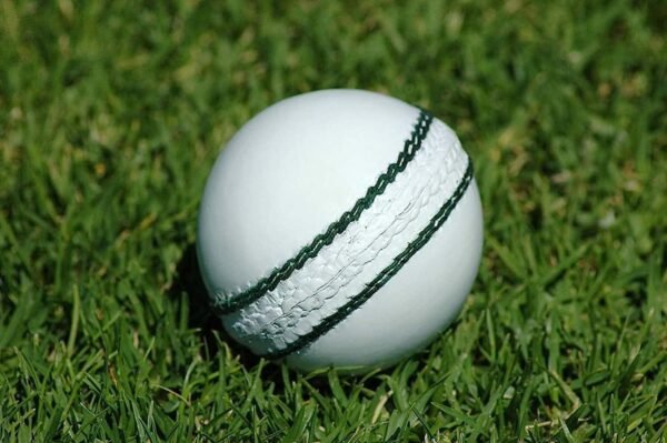 BKKIND White Leather Cricket Ball – “The Night Glider"
