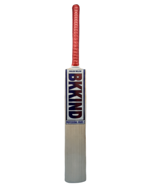 cricket bat